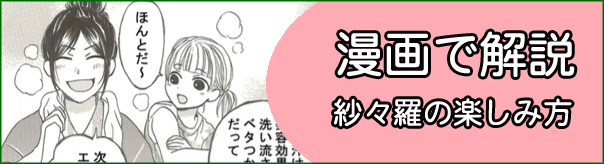 漫画で解説紗々羅の楽しみ方